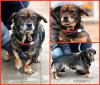 post-115158-0,01376500-1420357918_thumb.