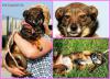 PicMonkey Collage.jpg
