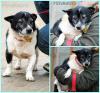 post-151013-0,71704500-1423549476_thumb.