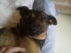 201204161281000.jpg