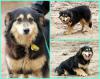 PicMonkey Collage.jpg
