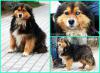 post-151013-0,24668000-1431889071_thumb.jpg