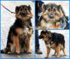 PicMonkey Collage.jpg