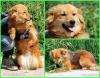 PicMonkey Collage.jpg