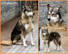 post-151013-0,41945900-1438253405_thumb.jpg
