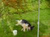 DSC03263.JPG