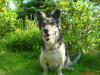 DSC02873.JPG