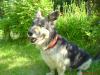 DSC02871.JPG