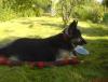 DSC03801.JPG