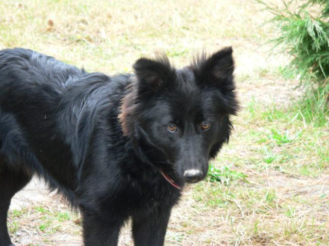 P1110751_640x480.jpg