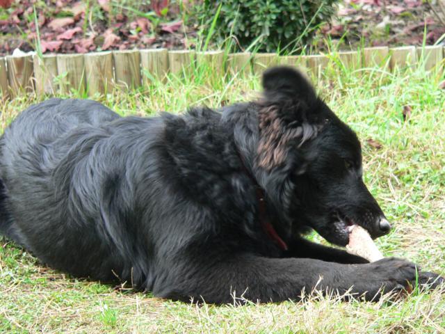 P1110755_640x480.jpg