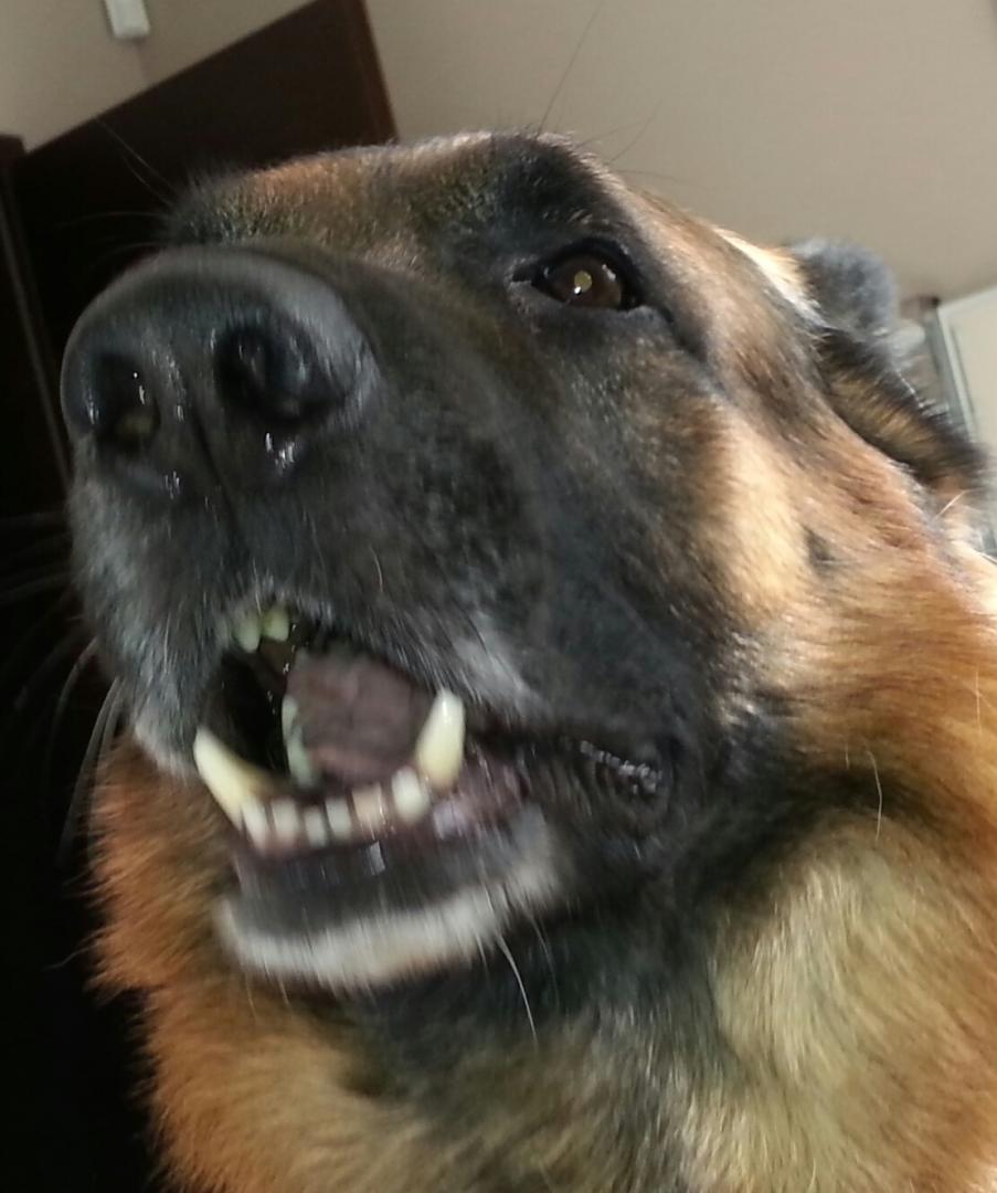 20140523_082320-1.thumb.jpg.04d55305d113