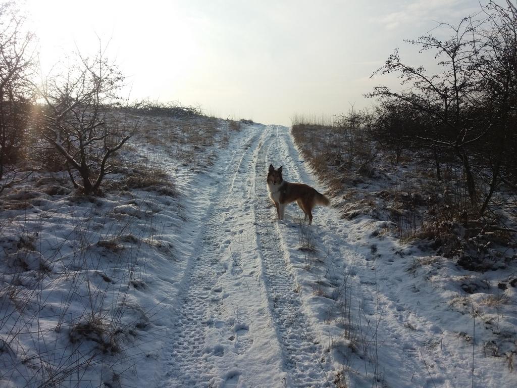 20160106_130221.jpg