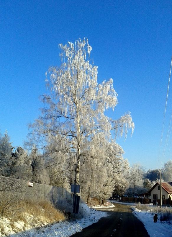 20160123_085753.jpg