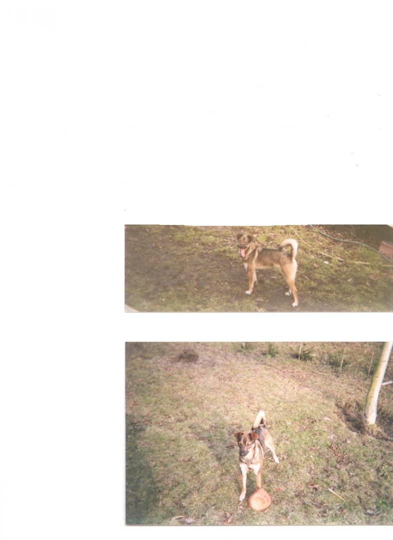 569de95833524_Obraz007.thumb.jpg.9dba251