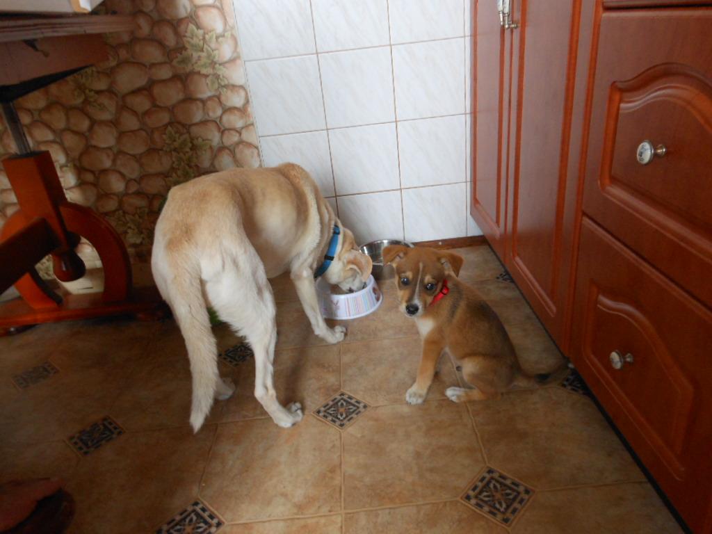 DSCN2705.JPG