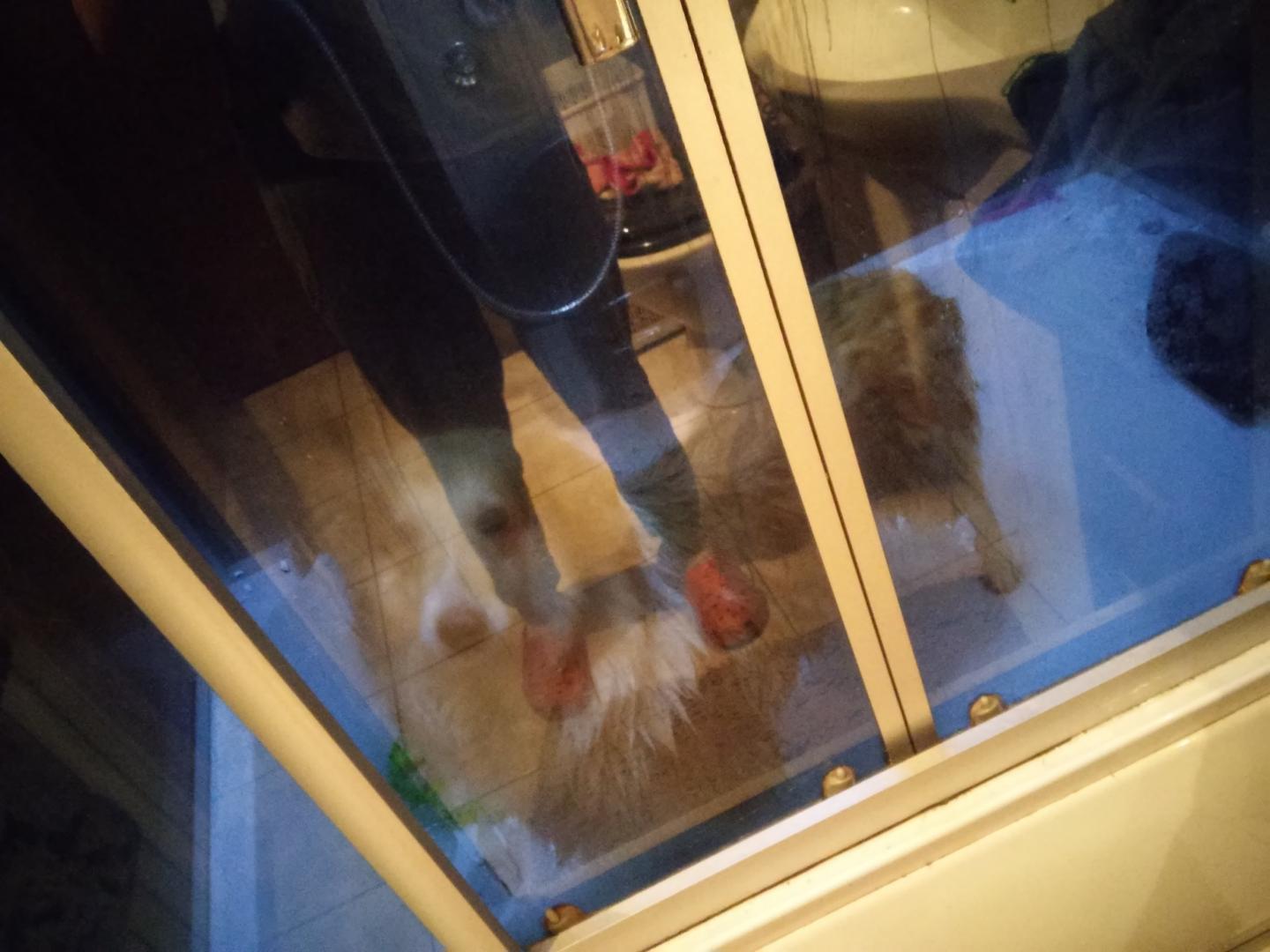 20160206_140621.thumb.jpg.0b72335974ed2a