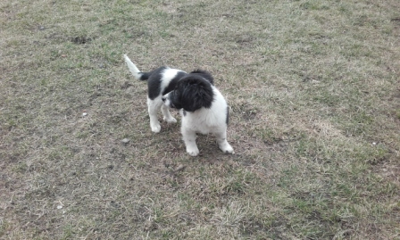 20160213_130810.jpg
