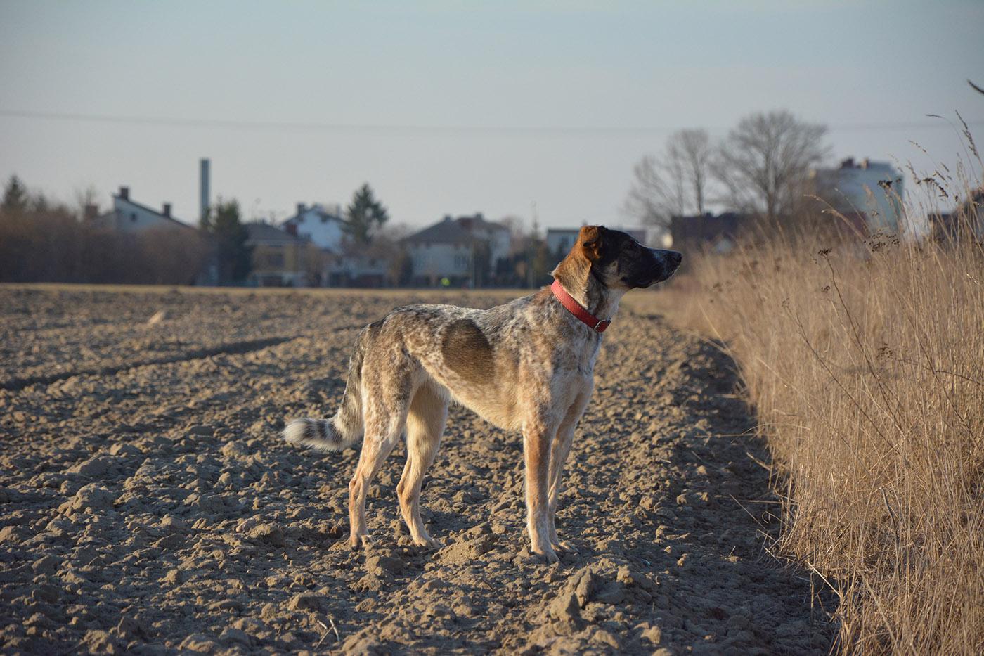 DSC_0191.JPG