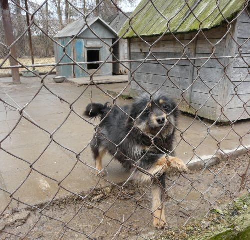 P1200174.JPG.310ca8913d83911448838b682fb