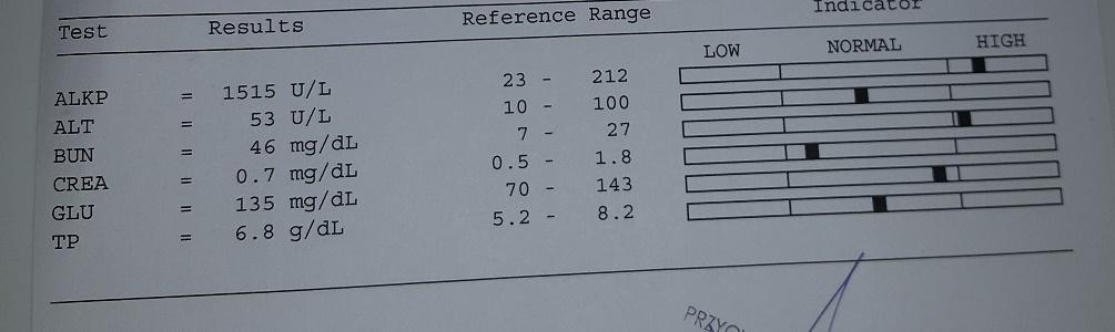 20160308_153819.jpg