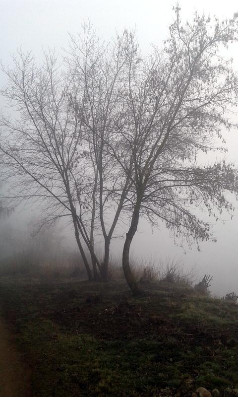 20160327_081530.jpg