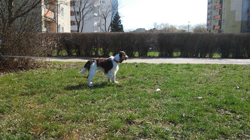 20160327_122023.jpg.cdb0d9ca8de86e62019a