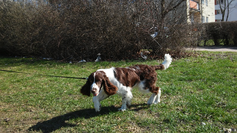 20160327_122025.jpg.5ddca555d4da24aee14b