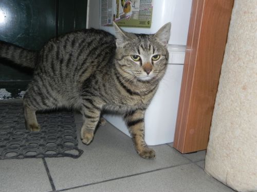 DSCN2262.JPG.ef5cf38cad453eea2fa7b0a02aa