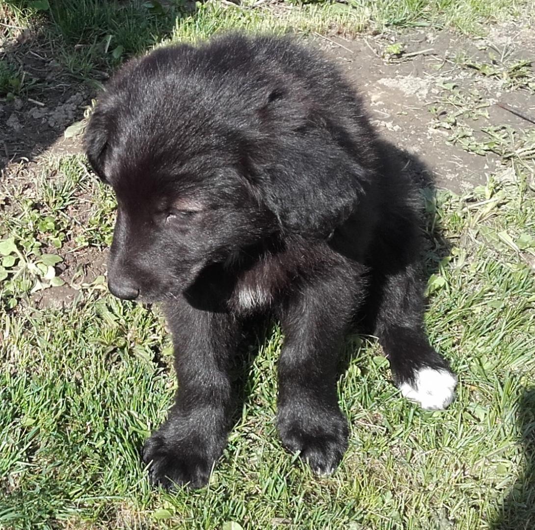 20160416_162951.jpg