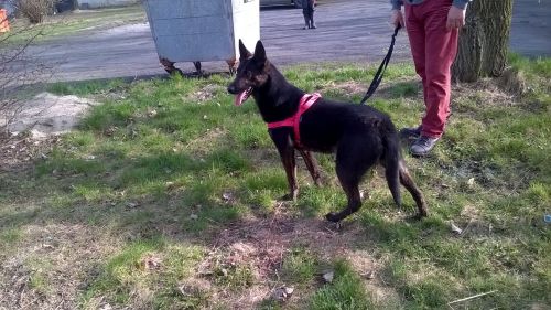 WP_20160404_16_28_00_Pro.jpg.04bc60266e4