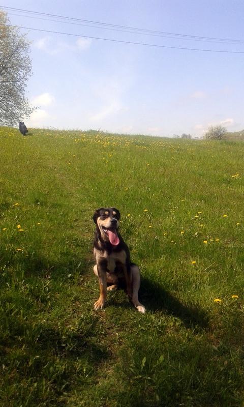 20160502_113743.jpg