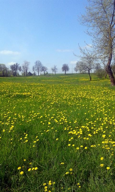 20160502_114349.jpg