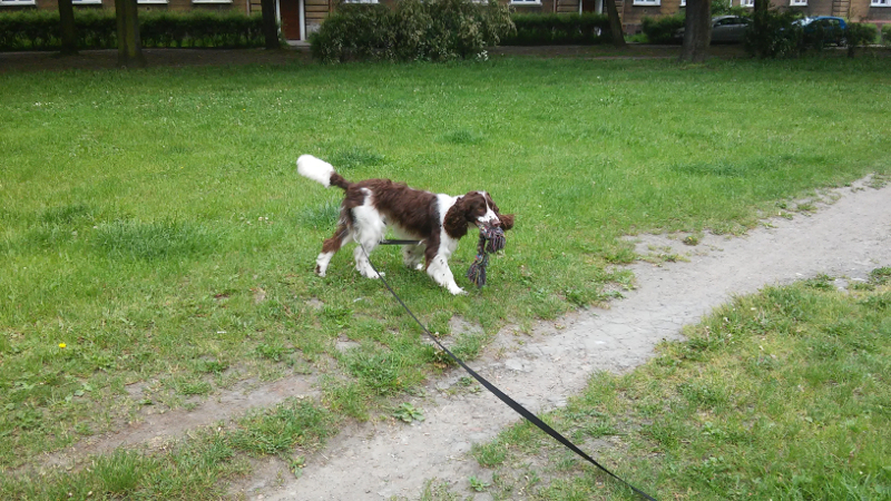 20160526_130719.jpg