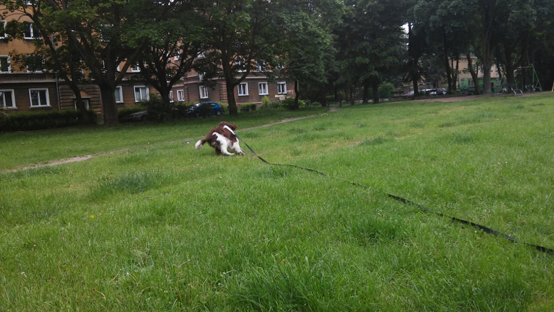 20160526_131430.jpg