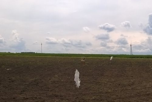 WP_20160517_14_13_02_Pro.jpg