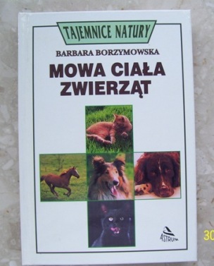 2reklama.JPG