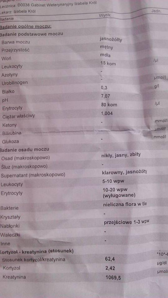 Kala 2.jpg