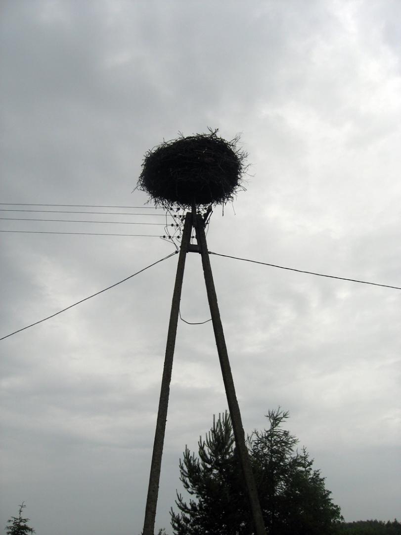 IMG_0042.JPG