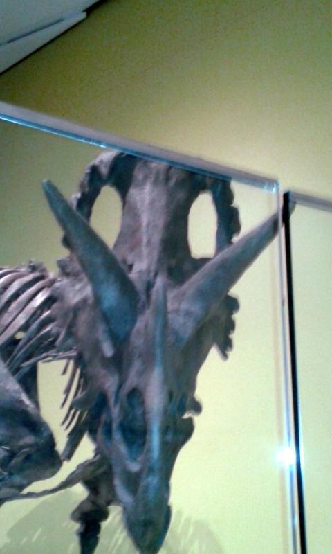 20160529_123358.jpg