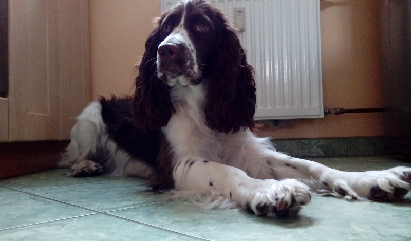 20160822_125640.jpg