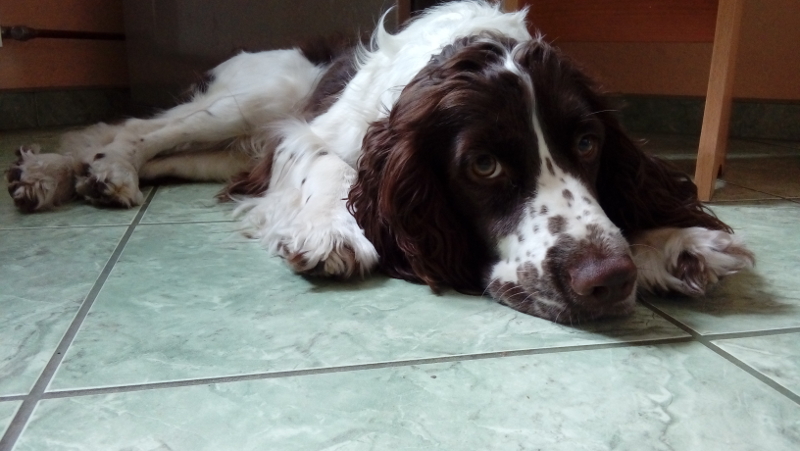 20160822_125759.jpg