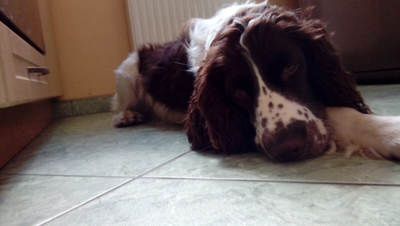 20160822_125941.jpg