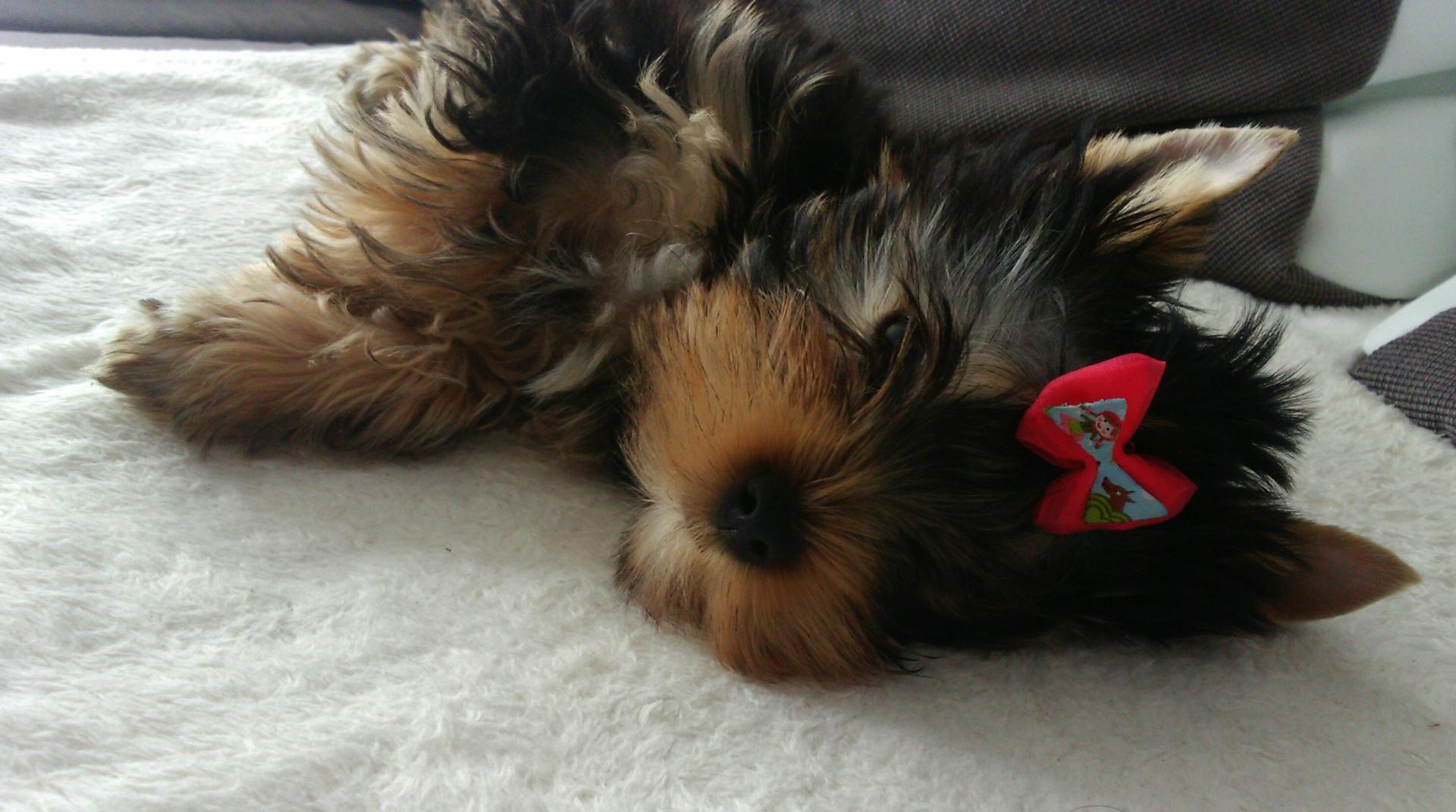 _20160830_130725.JPG