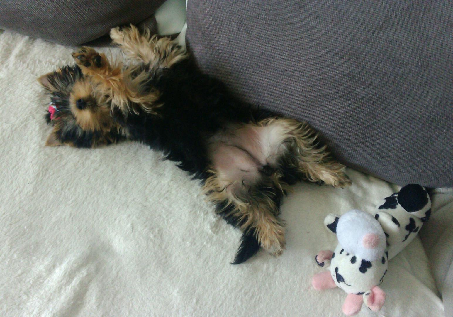 _20160830_131801.JPG