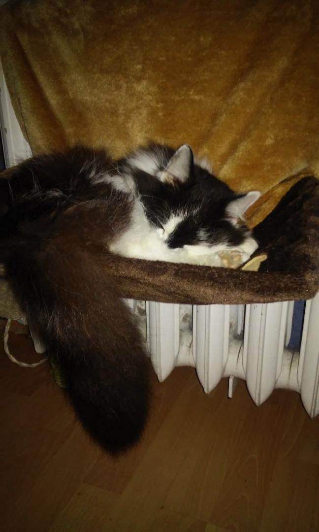 20160929_170558.jpg