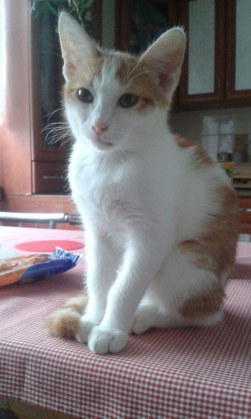 IMG-20160919-WA0001.jpg