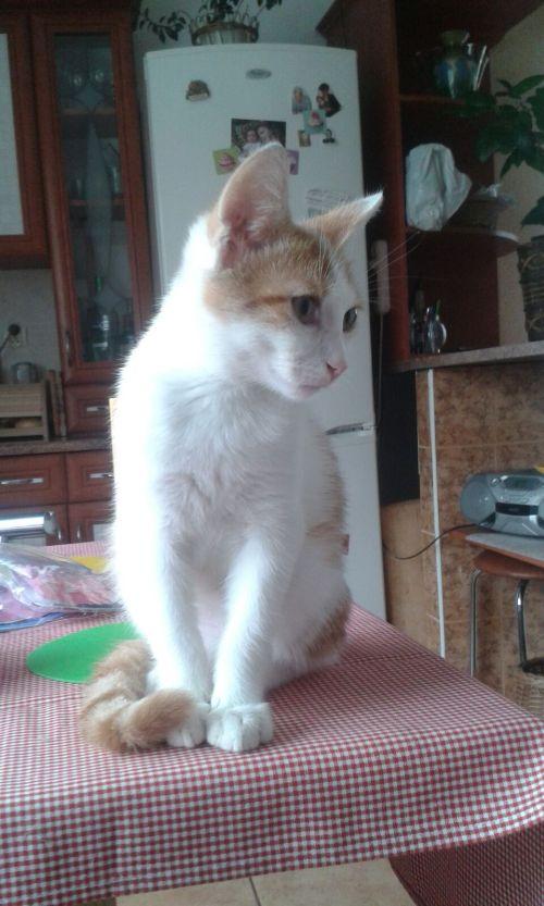 IMG-20160919-WA0002.jpg