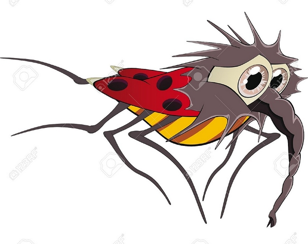 Ladybird.jpg