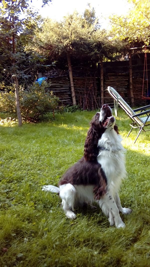 20160910_153540.jpg